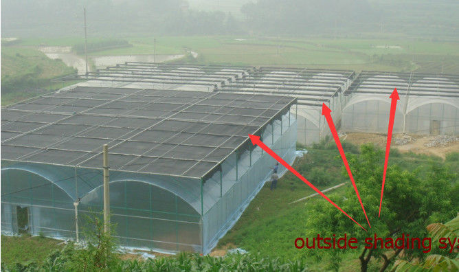 Tissu d'ombre de potager de ferme d'horticulture pour l'anti taux de ombrage du soleil 60%